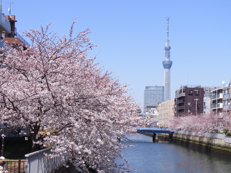 f:id:fsharpLab:20120408130140j:plain f:id:fsharpLab:20120408130140j:plain