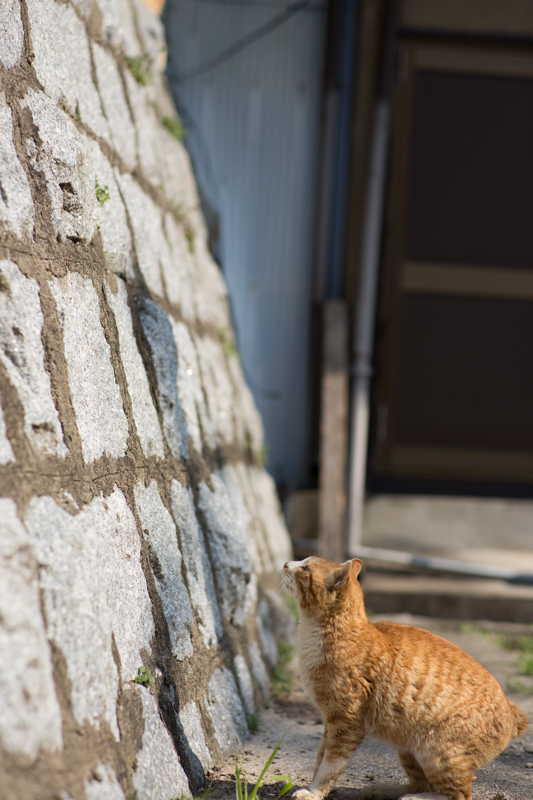 f:id:fubirai:20130318232528j:image f:id:fubirai:20130318232528j:image