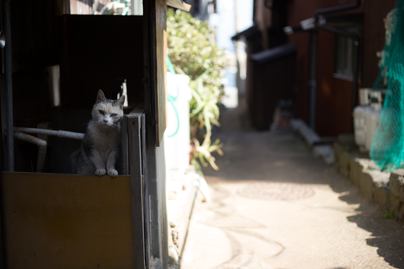 f:id:fubirai:20130407230909j:image f:id:fubirai:20130407230909j:image