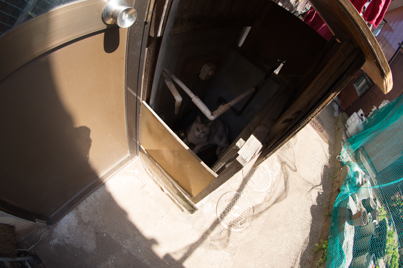 f:id:fubirai:20130407230911j:image f:id:fubirai:20130407230911j:image