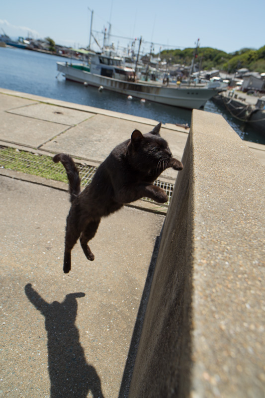 f:id:fubirai:20130503213413j:image f:id:fubirai:20130503213413j:image