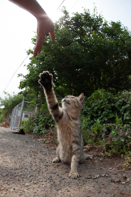 f:id:fubirai:20131129224005j:image f:id:fubirai:20131129224005j:image