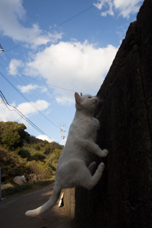 f:id:fubirai:20131205231020j:image f:id:fubirai:20131205231020j:image