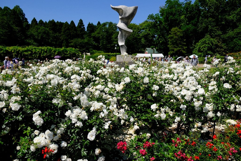 f:id:fudsuki:20180520220501j:image