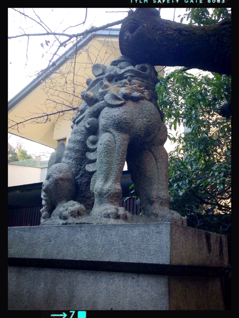 f:id:fujita244:20130210202214j:plain f:id:fujita244:20130210202214j:plain