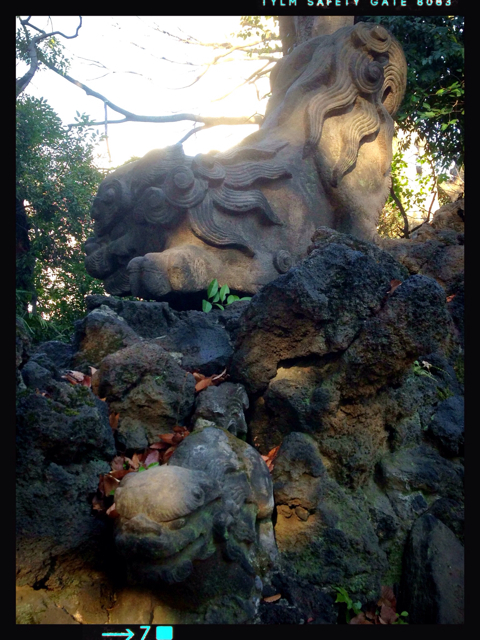 f:id:fujita244:20130210202229j:plain f:id:fujita244:20130210202229j:plain