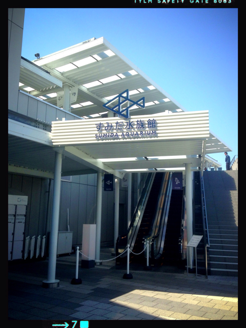 f:id:fujita244:20130430182002j:plain f:id:fujita244:20130430182002j:plain