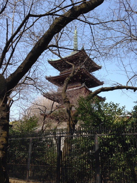 f:id:fujita244:20140317094306j:plain f:id:fujita244:20140317094306j:plain