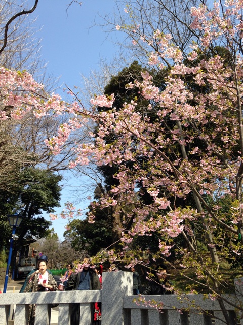 f:id:fujita244:20140317094848j:plain f:id:fujita244:20140317094848j:plain