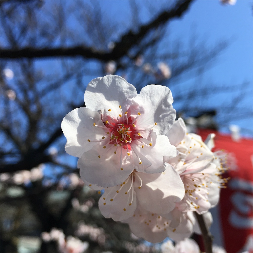 f:id:fujita244:20160301135726j:image f:id:fujita244:20160301135726j:image
