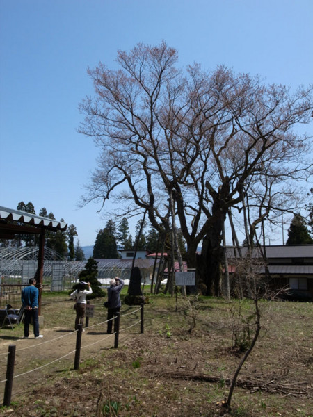 f:id:fukenko:20120428111908j:image