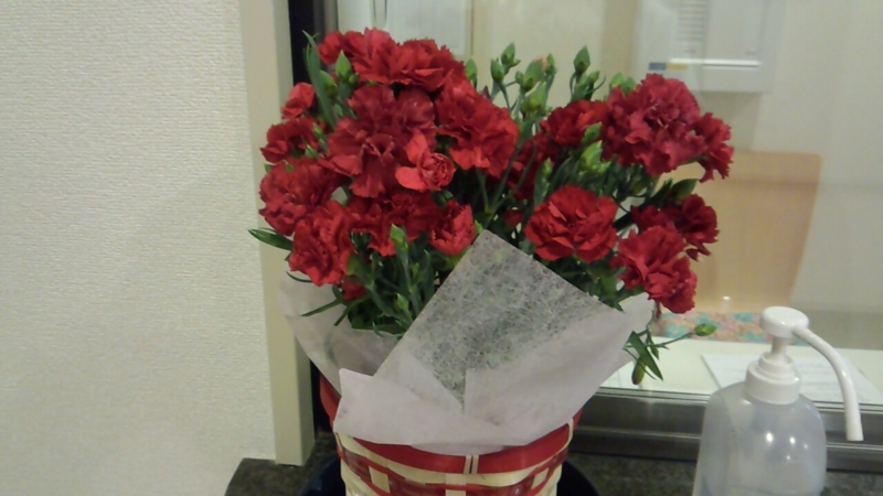 f:id:fukikeisuke:20130512191524j:plain f:id:fukikeisuke:20130512191524j:plain