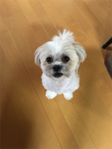f:id:fukunohitoritabi:20160402144956j:image f:id:fukunohitoritabi:20160402144956j:image