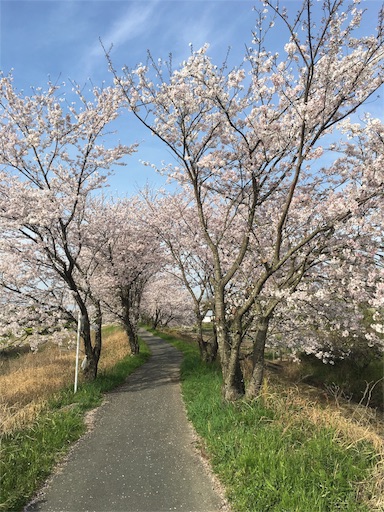 f:id:fukunohitoritabi:20160407120442j:image f:id:fukunohitoritabi:20160407120442j:image