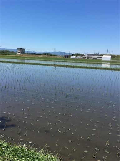 f:id:fukunohitoritabi:20160512170951j:image f:id:fukunohitoritabi:20160512170951j:image