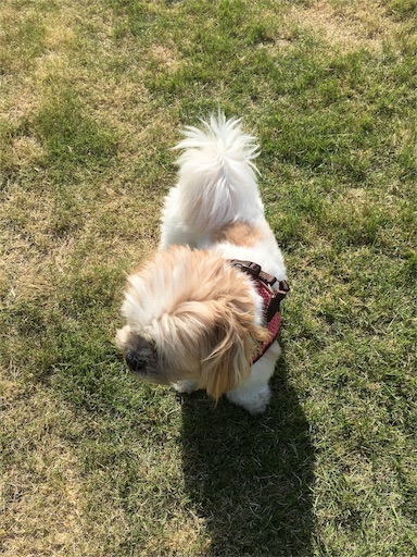 f:id:fukunohitoritabi:20160512171530j:image f:id:fukunohitoritabi:20160512171530j:image