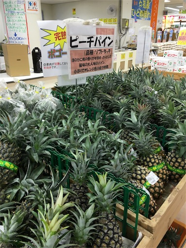 f:id:fukunohitoritabi:20160701214244j:image f:id:fukunohitoritabi:20160701214244j:image
