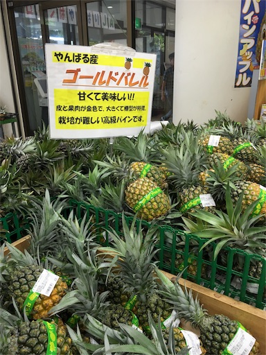 f:id:fukunohitoritabi:20160701214313j:image f:id:fukunohitoritabi:20160701214313j:image