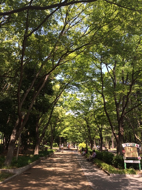 f:id:fukunokoto:20150530171206j:image f:id:fukunokoto:20150530171206j:image
