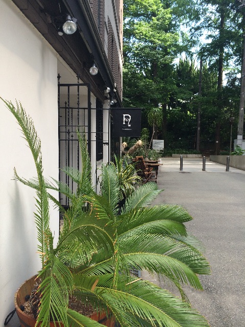 f:id:fukunokoto:20150530171216j:image f:id:fukunokoto:20150530171216j:image