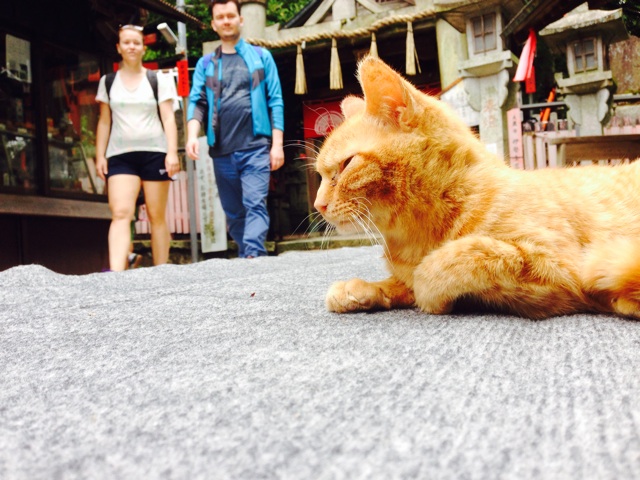 f:id:fukuragi:20150604233304j:plain f:id:fukuragi:20150604233304j:plain