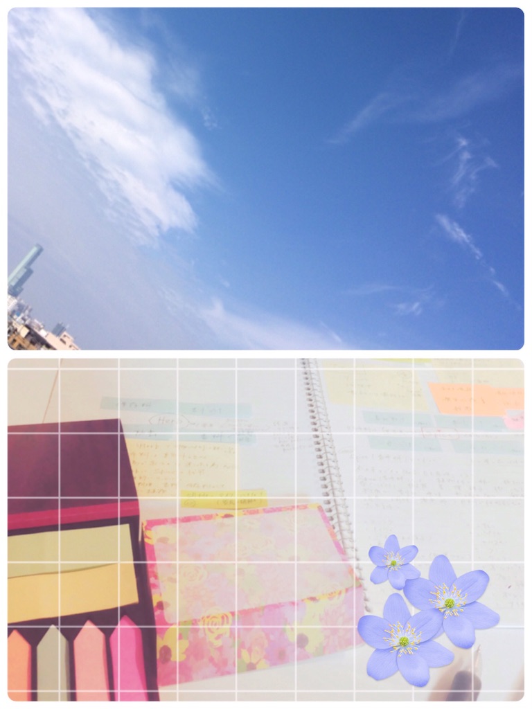 f:id:fumi_521:20160530234103j:image f:id:fumi_521:20160530234103j:image