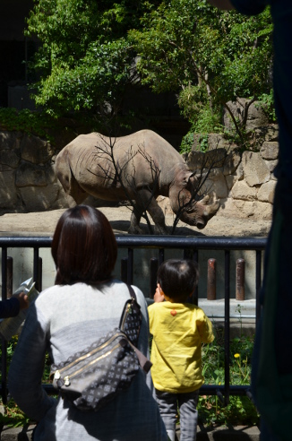 f:id:fumicicci:20140504100230j:plain f:id:fumicicci:20140504100230j:plain