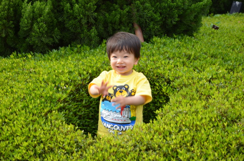 f:id:fumicicci:20140504153740j:plain f:id:fumicicci:20140504153740j:plain