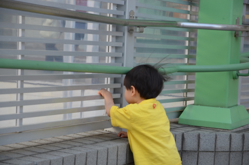 f:id:fumicicci:20140504170606j:plain f:id:fumicicci:20140504170606j:plain