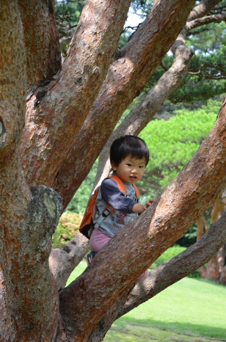 f:id:fumicicci:20150613135240j:plain f:id:fumicicci:20150613135240j:plain
