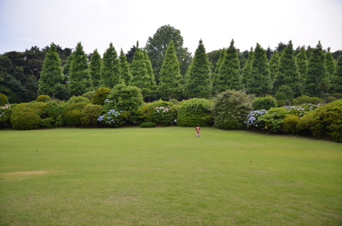 f:id:fumicicci:20150613144923j:plain f:id:fumicicci:20150613144923j:plain