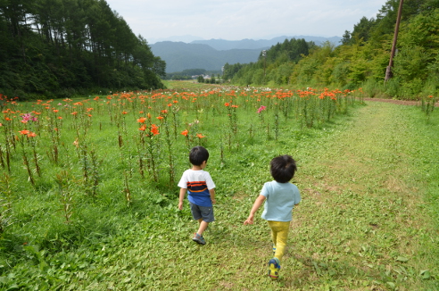 f:id:fumicicci:20150812144319j:plain f:id:fumicicci:20150812144319j:plain