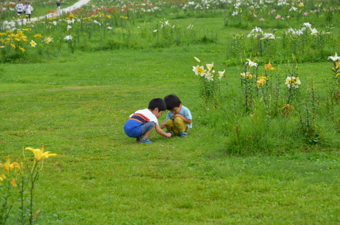 f:id:fumicicci:20150812150534j:plain f:id:fumicicci:20150812150534j:plain