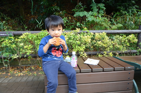 f:id:fumicicci:20151115134936j:plain f:id:fumicicci:20151115134936j:plain