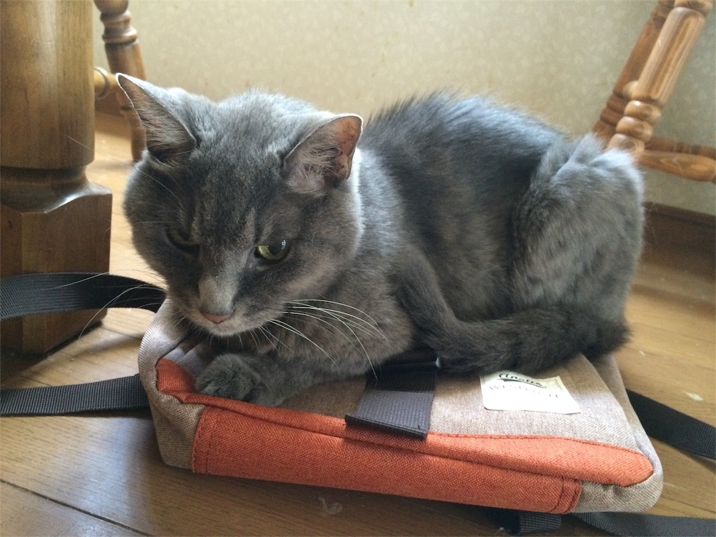 f:id:funbo-oyado:20151107223411j:image f:id:funbo-oyado:20151107223411j:image