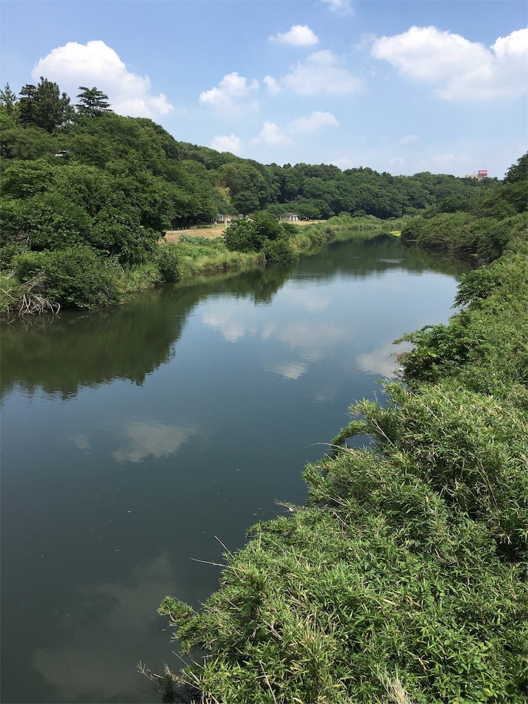 f:id:furuhon-ya:20160529152943j:image f:id:furuhon-ya:20160529152943j:image