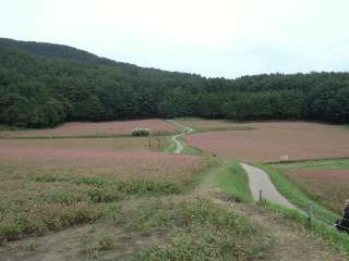 f:id:furutanosato:20140919205924j:plain f:id:furutanosato:20140919205924j:plain