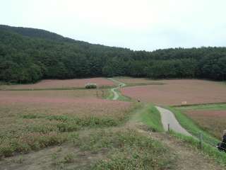 f:id:furutanosato:20140919205924j:plain