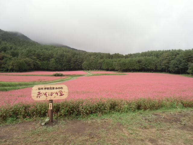 f:id:furutanosato:20140925205935j:plain