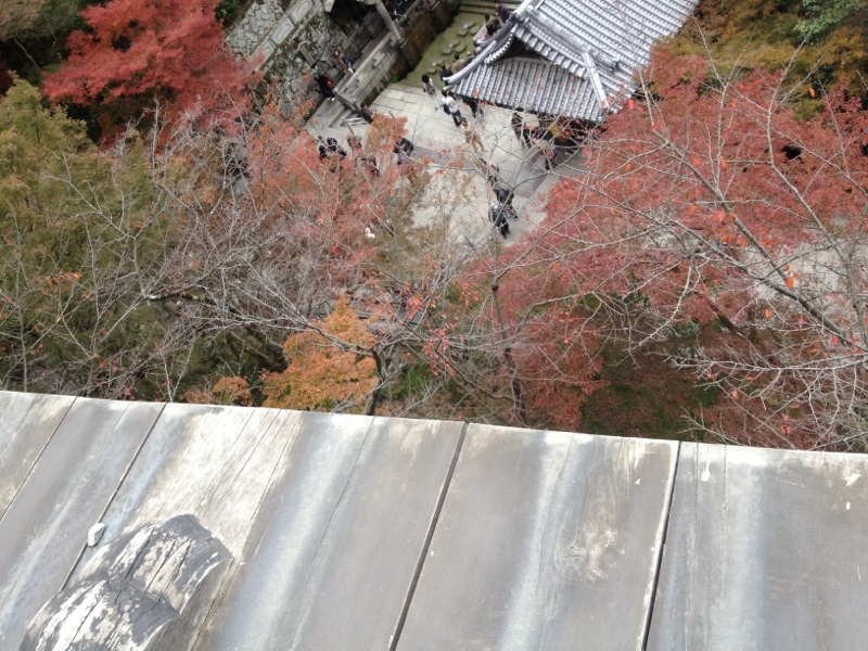 f:id:furutaseika:20121122031645j:plain