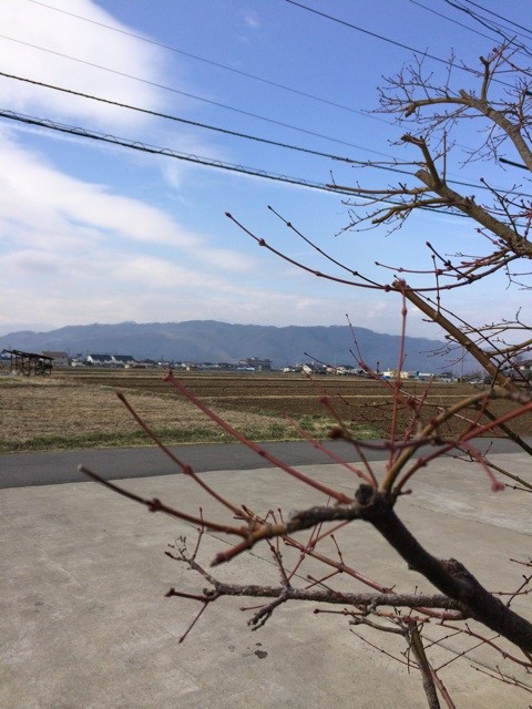 f:id:fusion-0703:20140403091836j:plain f:id:fusion-0703:20140403091836j:plain
