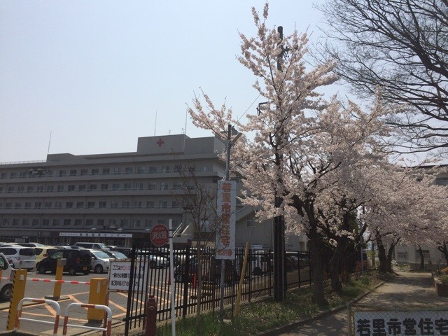 f:id:fusion-0703:20140417200926j:plain f:id:fusion-0703:20140417200926j:plain