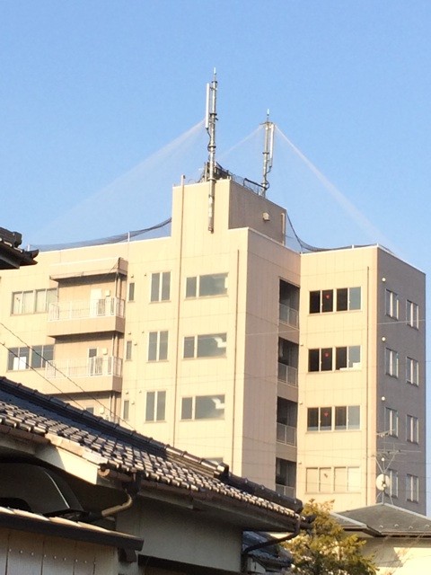 f:id:fusion-0703:20140425070928j:plain f:id:fusion-0703:20140425070928j:plain