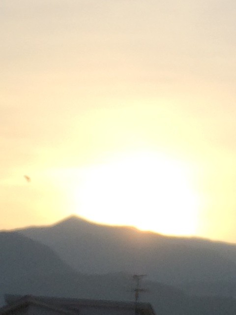 f:id:fusion-0703:20140530055256j:plain f:id:fusion-0703:20140530055256j:plain