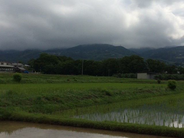 f:id:fusion-0703:20140609084012j:plain f:id:fusion-0703:20140609084012j:plain