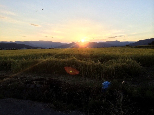 f:id:fusion-0703:20140914194729j:plain f:id:fusion-0703:20140914194729j:plain