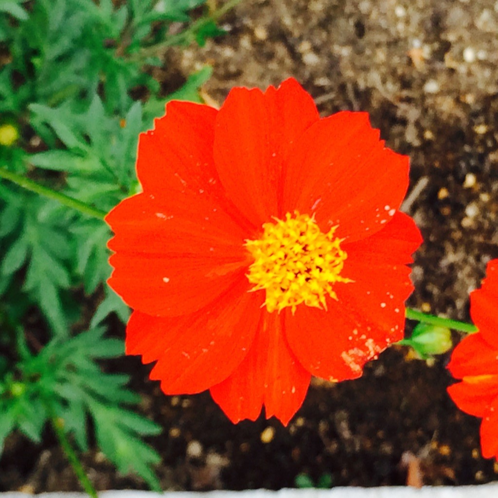 f:id:fusion-0703:20150816190439j:image f:id:fusion-0703:20150816190439j:image