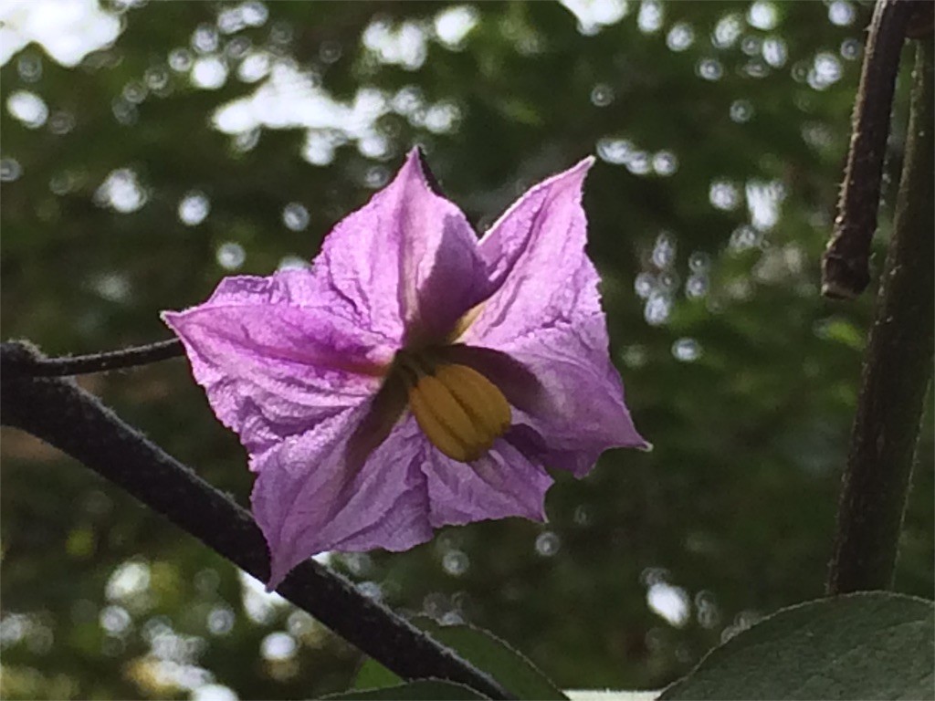 f:id:fusion-0703:20150921133315j:image f:id:fusion-0703:20150921133315j:image