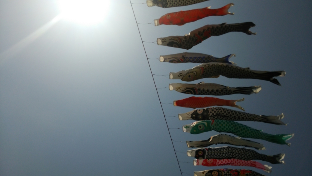 f:id:futagox:20140504075850j:plain f:id:futagox:20140504075850j:plain