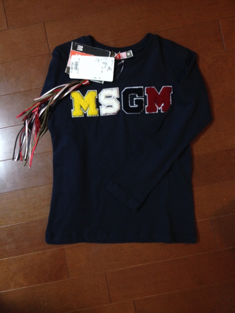 f:id:futakomother:20160103112715j:plain